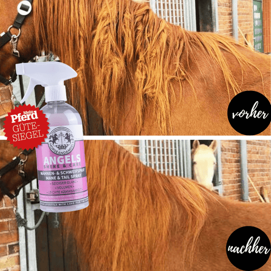 Mähnenspray und Schweifspray für Pferde: Dein Geheimnis für eine glänzende Mähne und einen schimmernden Schweif - HORSEANDANGELS