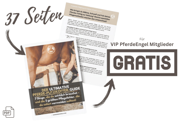 Der ultimative Putzkoffer - Guide für PferdeEngel (PDF) - HORSEANDANGELS